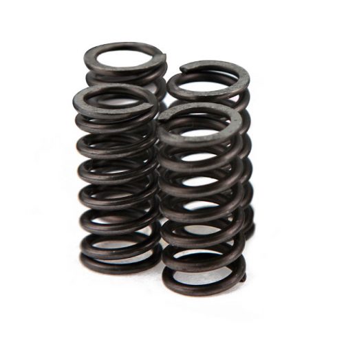 Clutch springs VOCA Carbon-Race, Minarelli AM6